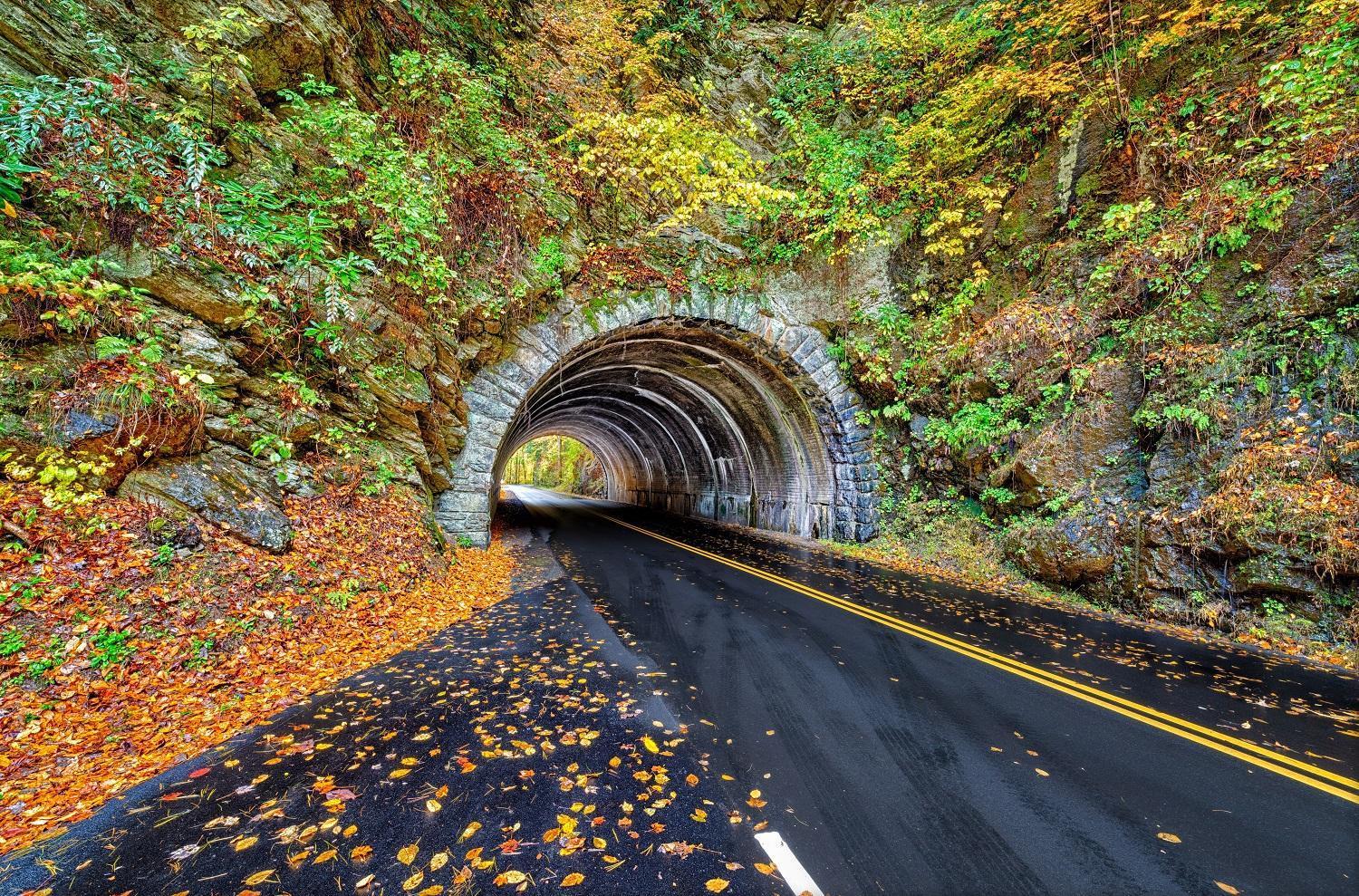 Time To Cuddle, Wifi, Near Pigeon Forge, 1089 Free Tickets Each Paid Day, Dollywood And More Ngoại thất bức ảnh