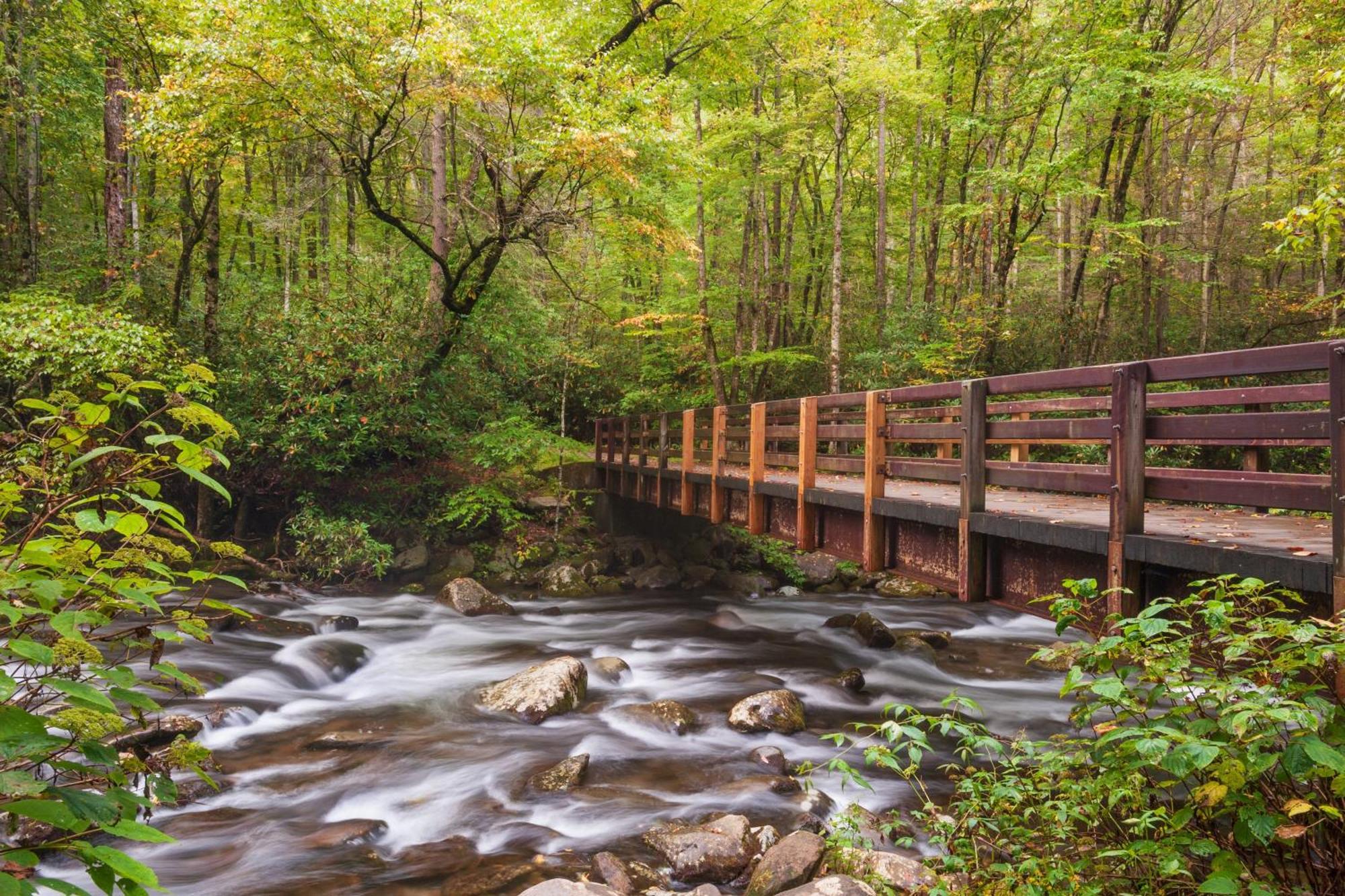 Time To Cuddle, Wifi, Near Pigeon Forge, 1089 Free Tickets Each Paid Day, Dollywood And More Ngoại thất bức ảnh