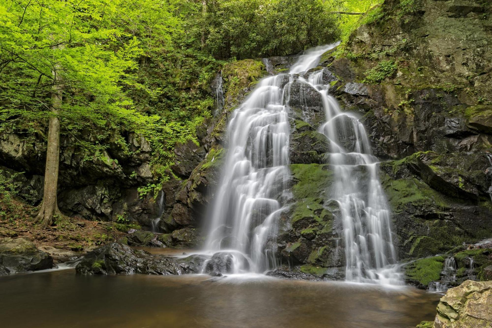 Time To Cuddle, Wifi, Near Pigeon Forge, 1089 Free Tickets Each Paid Day, Dollywood And More Ngoại thất bức ảnh