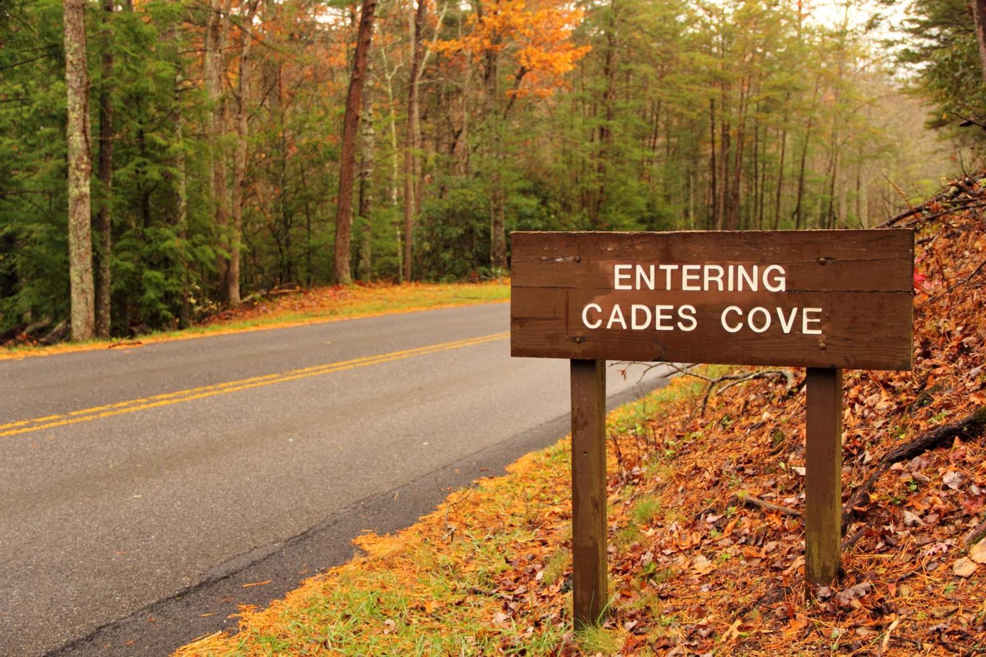 Time To Cuddle, Wifi, Near Pigeon Forge, 1089 Free Tickets Each Paid Day, Dollywood And More Ngoại thất bức ảnh